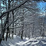 公寓 Gabi Karnowski