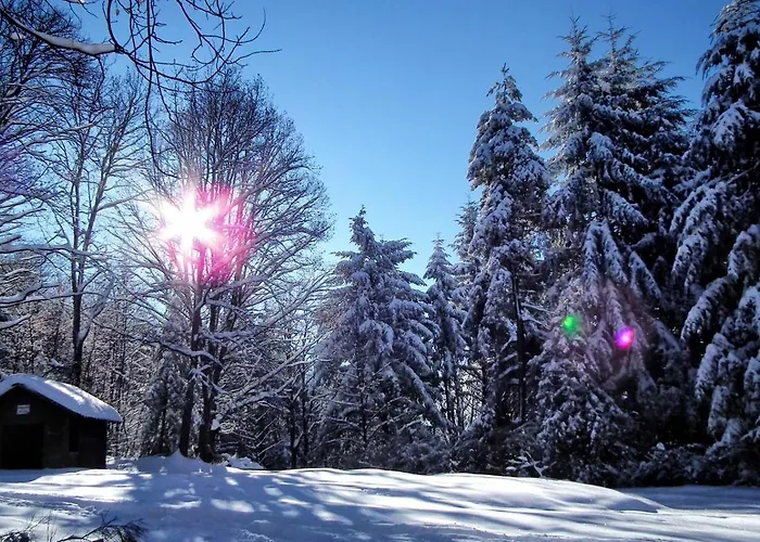 Gabi Karnowski Apartment *