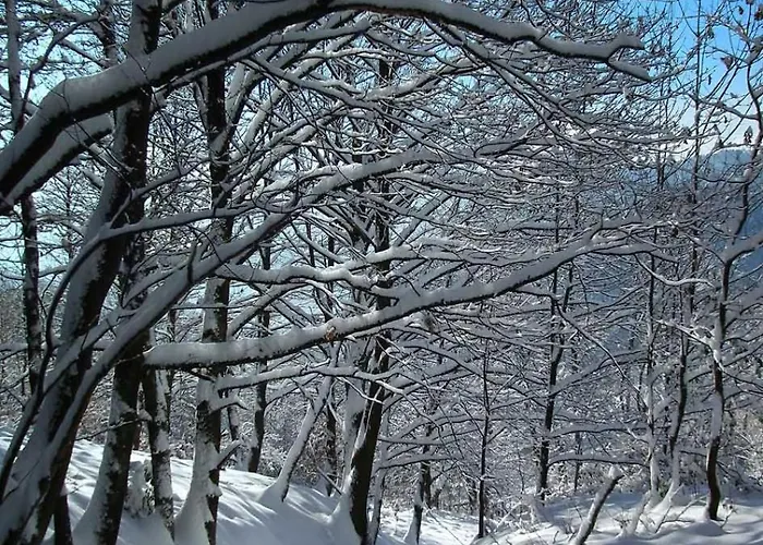 Apartment Gabi Karnowski