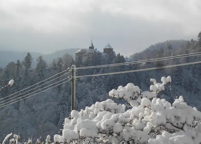 Gabi Karnowski * Gernsbach